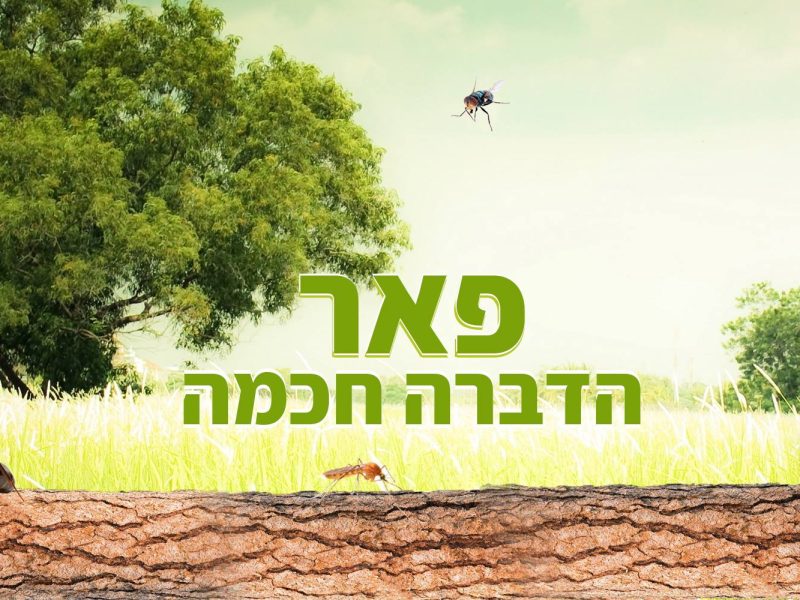 פאר הדברה - הפתרון הירוק לבעיות המזיקים