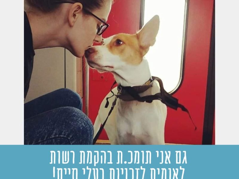 קורל דהן | פנסיון כלבים "הבית של ליאו" | הדרך שלי מאימוץ שני כלבים, להגשמת החלום הגדול שלי