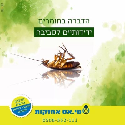 תומר שאטר