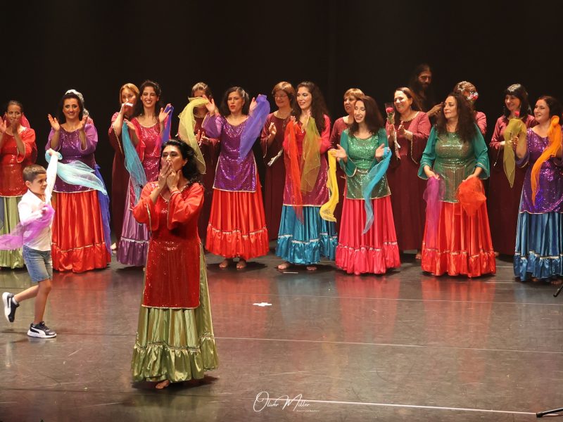 תל אביב | אנסמבל שיראז | מחול פרסי | shiraz dance ensemble | איריס דלשד