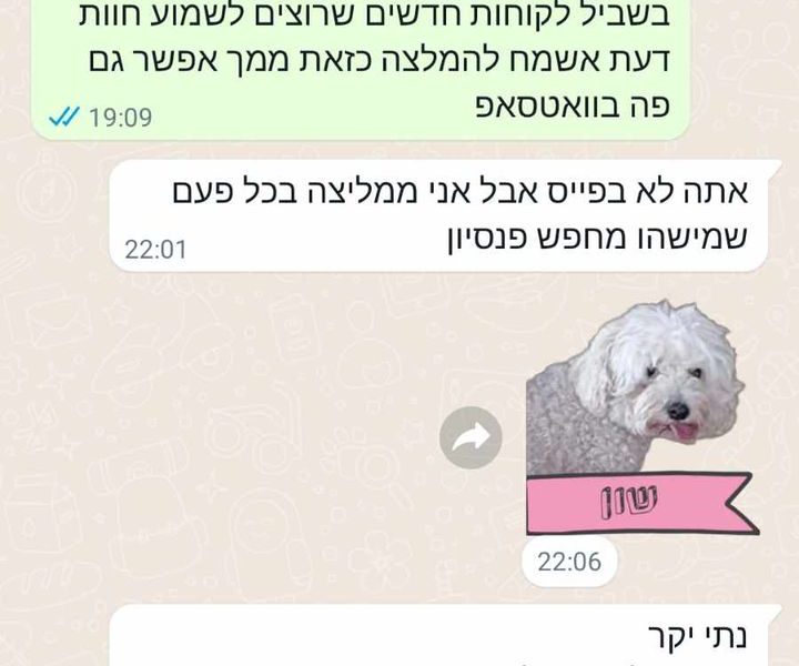 הפנסיון של נתי | פנסיון לכלבים קטנים וזעירים עד 3 כלבים