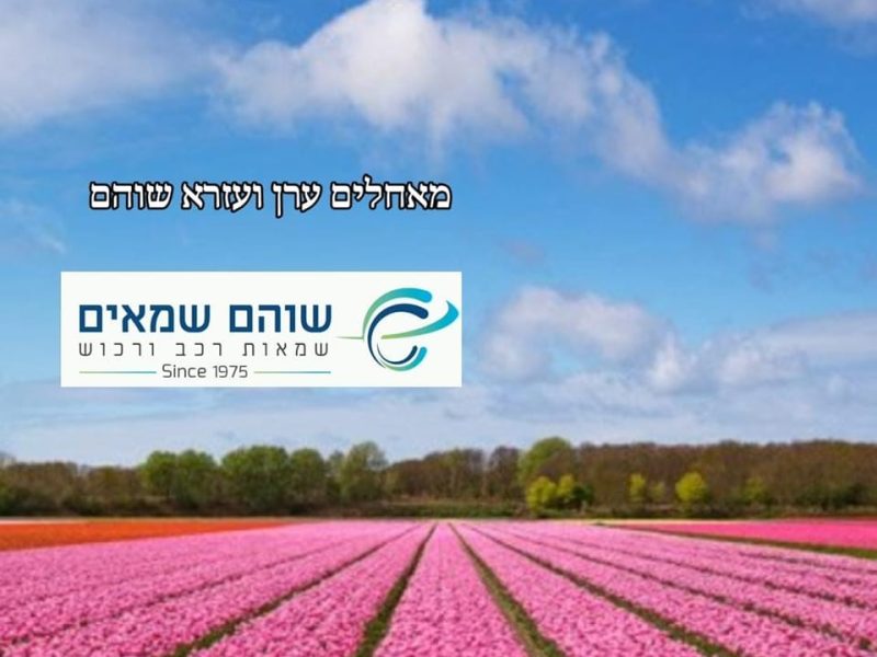 עזרא שוהם | משרד שמאות רכב ורכוש | שמאות רכב | שמאות רכוש | שירות מקצועי בירושלים, מודיעין והסביבה