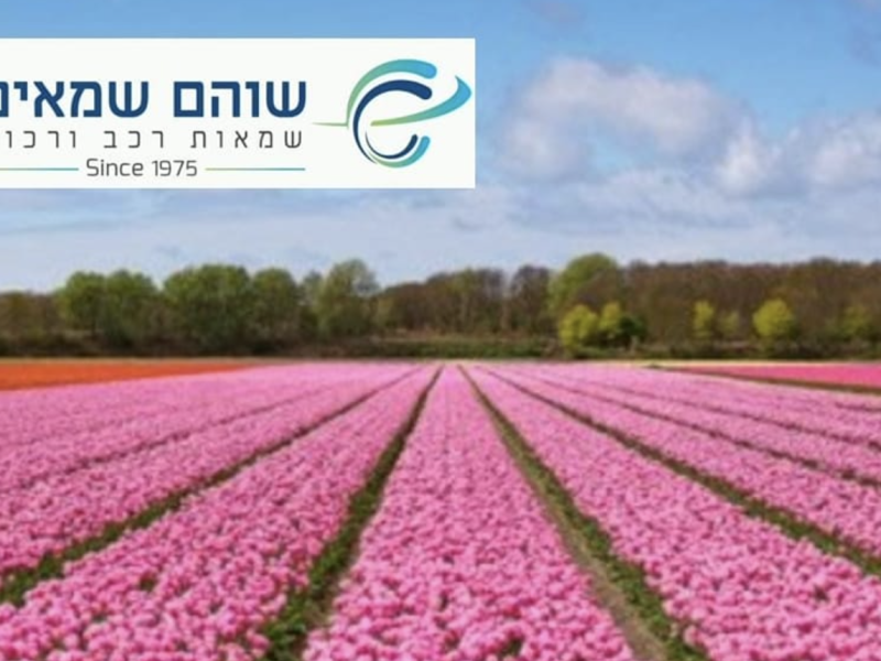 עזרא שוהם | משרד שמאות רכב ורכוש | שמאות רכב | שמאות רכוש | שירות מקצועי בירושלים, מודיעין והסביבה