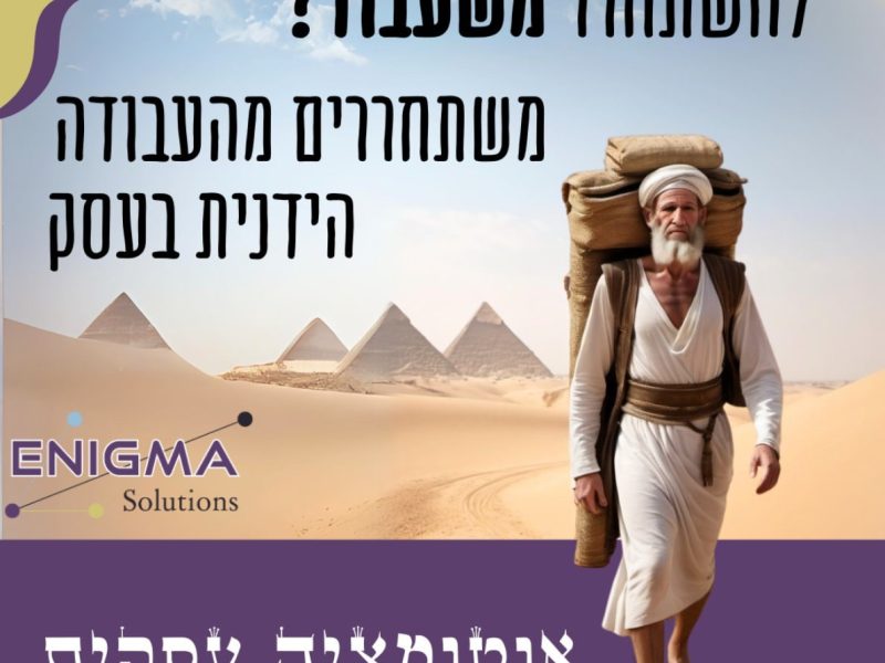 חלי פאר | Enigma Solutions | אוטומציה עסקית | פיתוח והטמעת CRM | מובילים בתחום הדיגיטל בישראל