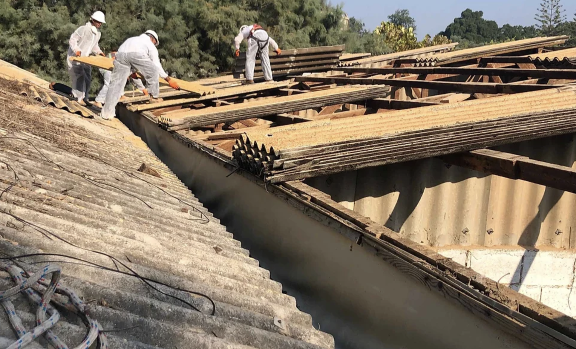 ארזי הלבנון | אבי דילבסקי | פירוק ופינוי אסבסט | סקר אסבסט | רמת גן ואזור המרכז