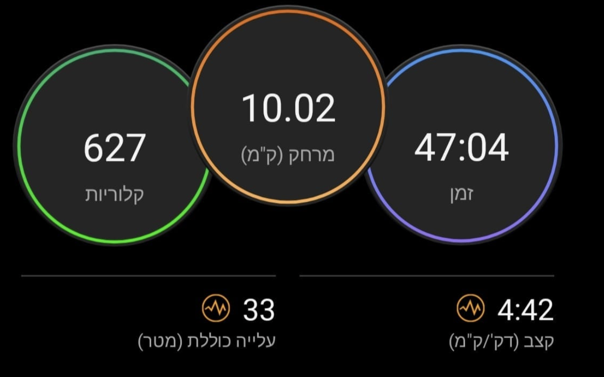 M.F.T | עדי טפטה | אימון פונקציונלי | כושר אישי | סטודיו לאימונים ברחובות