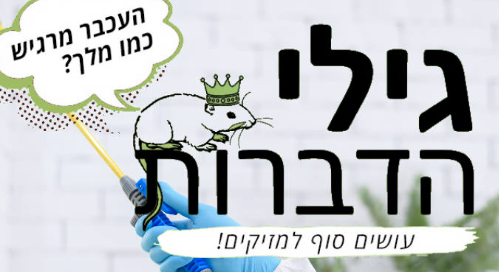 גילי הדברות | גילי המדביר | הדברת מזיקים ומכרסמים | הרחקת יונים | שירותי הדברה מקצועיים במרכז