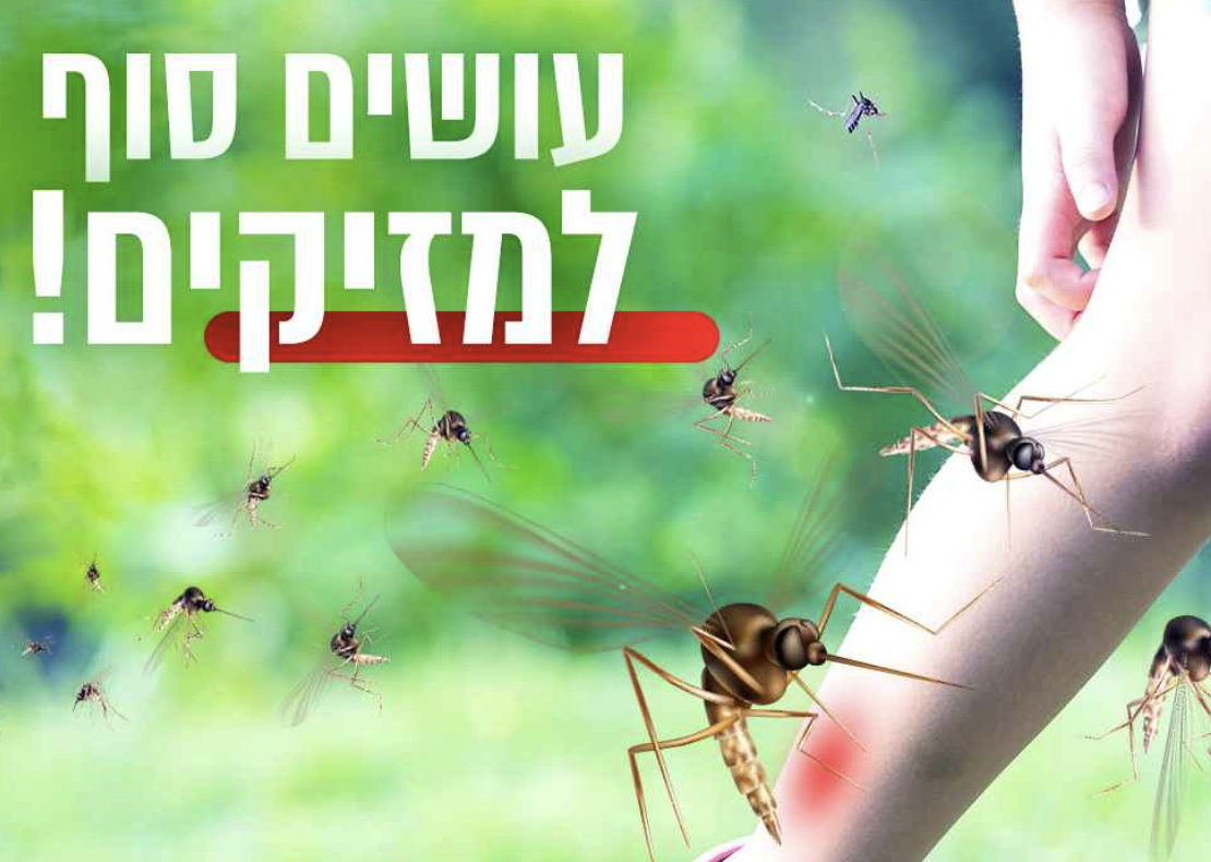 גילי הדברות | גילי המדביר | הדברת מזיקים ומכרסמים | הרחקת יונים | שירותי הדברה מקצועיים במרכז