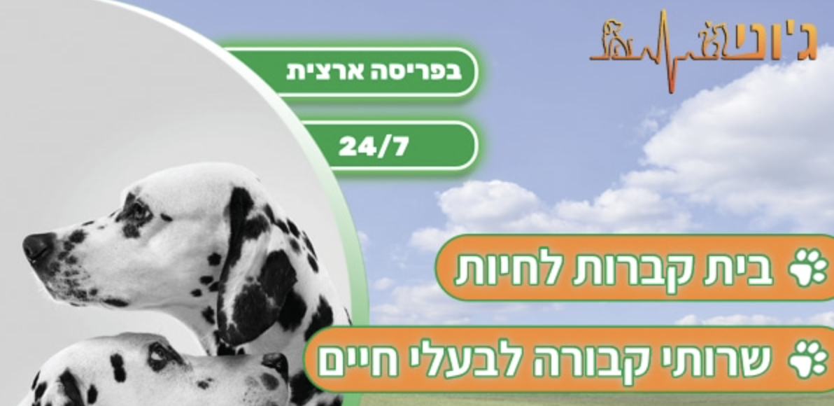 ג'וני שירותי קבורה | גילי | בית קברות לחיות מחמד | פינוי פגרים מקצועי | שירותי קבורה לבעלי חיים בחולון והמרכז