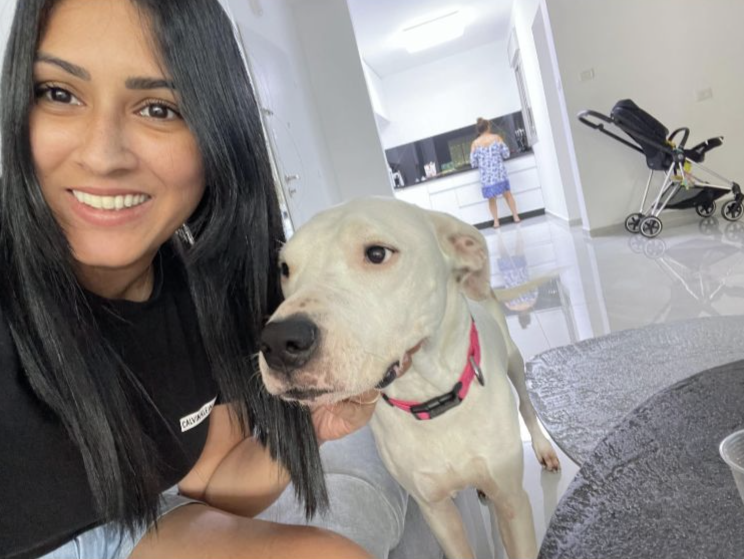 Di Dog | דניאל בן זקן | מספרת כלבים מקצועית | גרומינג לכלבים | קרית גת
